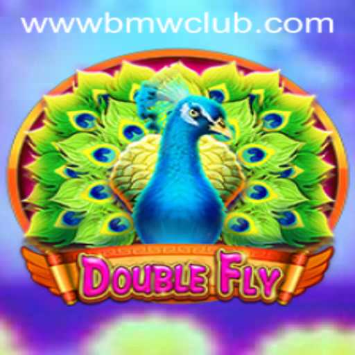 DoubleFly: The Latest Sensation Stirring Up the BMW Club